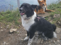 IMG-20170905-WA0027
