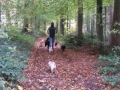 Herbst