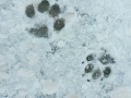 IMG-20160117-WA0038