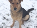 Krümel Jan 16
