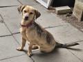 Lotti-12.6.26