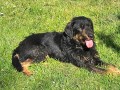 Pumi-Pumuckl-3.7.26