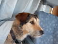 Yukon-neu-Sorge