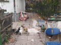 Kastra-Huendin-11.10.22-2
