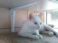 IMG-20170714-WA0045