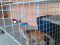 IMG-20170714-WA0047