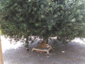 IMG-20170714-WA0048