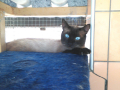 IMG-20170714-WA0049