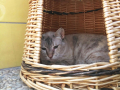 IMG-20170714-WA0050