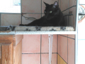 IMG-20170714-WA0055