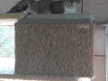 IMG-20170714-WA0056