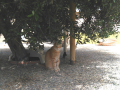 IMG-20170714-WA0057
