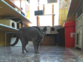 IMG-20170714-WA0058