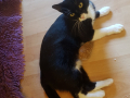 20170712_193200