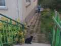 Kastra-Sept-22-3