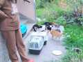 Kastra-Sept-22-4