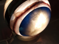 20190531_101057