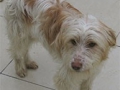 Cici 2803.jpg