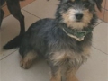 Cuqui 2787.jpg