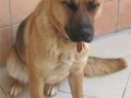 Solana 2785.jpg