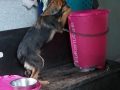 Mia R3
