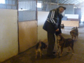 Hr.Milev mit Lisko 2.3.14
