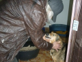 Hr.Milev mit Romi 1.5.2015