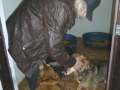 Hr.Milev mit Romi und Lisko 1.5.2015