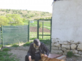 Hr.Milev und Hero 1.5.2015