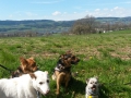 IMG-20150412-WA0033 - Kopie.jpg