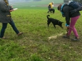 IMG-20141030-WA0009