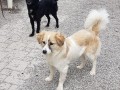Mimi-Carlotta-27.2.21