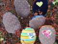 Eier