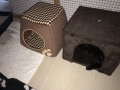 IMG-20170811-WA0036