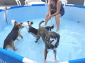 20180805_152748