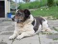 DSC_0161 - Kopie
