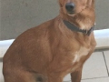 2783