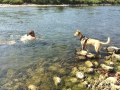 IMG-20150719-WA0014