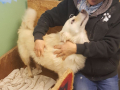 IMG-20171123-WA0033