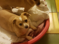IMG-20171123-WA0047