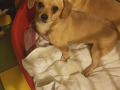 IMG-20171123-WA0050