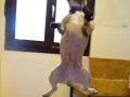 imhhrTdV3iHCVHFJfnG992XFIEic7kgn46GUE7NekUo
