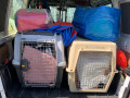 Flugboxen-prall-gefuellt-plus-Hundebaeder-Spielsachen