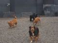 20190410_153310