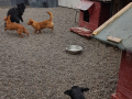 20190410_153321
