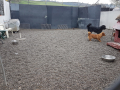 20190410_153402