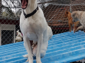 20190410_154024