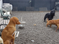 20190410_154323