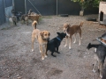 DSC01025a