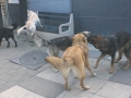 DSC01028a